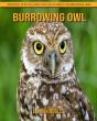 Burrowing Owl - Preview