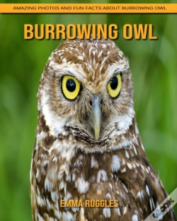 Capa do artigo Burrowing Owl