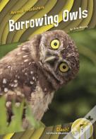 Burrowing Owls