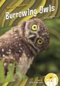 Burrowing Owls - Preview