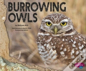 Capa do artigo Burrowing Owls