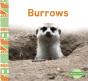 Burrows - Preview