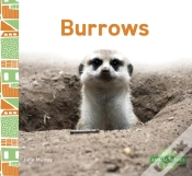 Capa do artigo Burrows