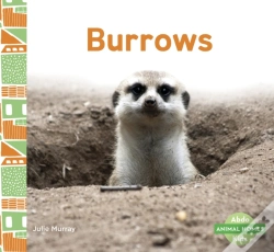 Capa do artigo Burrows