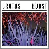 Capa do artigo Burst - CD