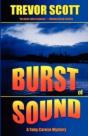 Burst Of Sound - Preview