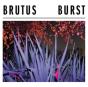 Burst - Vinil - Preview