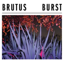Capa do artigo Burst - Vinil