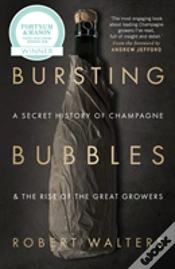 Capa do artigo Bursting Bubbles