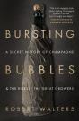 Bursting Bubbles - Preview