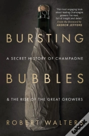 Capa do artigo Bursting Bubbles