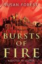 Bursts Of Fire - Preview