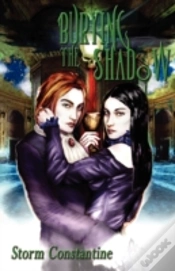 Capa do artigo Burying The Shadow