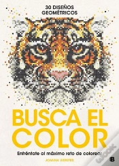Capa do artigo Busca El Color