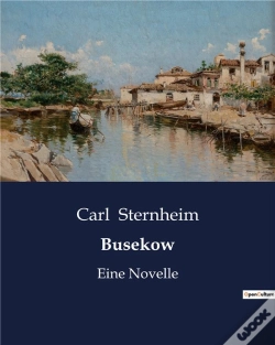 Capa do artigo Busekow - Eine Novelle
