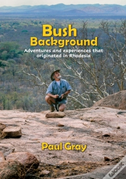 Capa do artigo Bush Background
