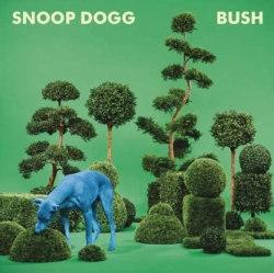 Capa do artigo Bush - CD