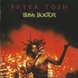 Capa do artigo Bush Doctor - CD