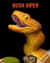 Bush Viper