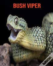 Bush Viper