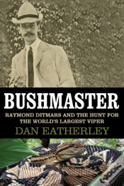 Capa do artigo Bushmaster