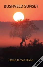Capa do artigo Bushveld Sunset