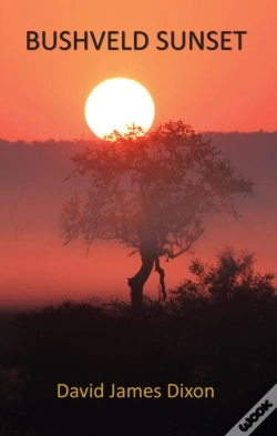 Capa do artigo Bushveld Sunset