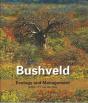 Bushveld - Preview