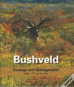 Capa do artigo Bushveld