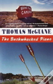 Capa do artigo Bushwhacked Piano