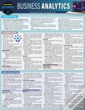 Capa do artigo Business Analytics