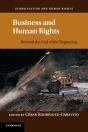 Business And Human Rights - Preview