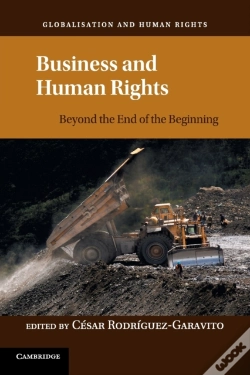 Capa do artigo Business And Human Rights