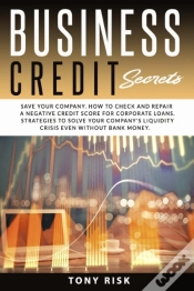 Capa do artigo Business Credit Secrets
