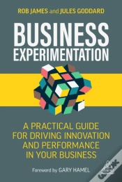 Capa do artigo Business Experimentation
