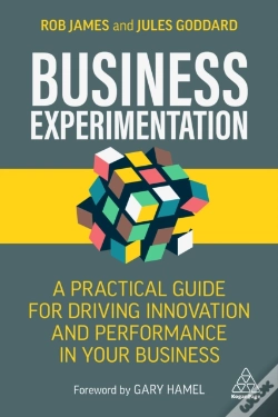 Capa do artigo Business Experimentation