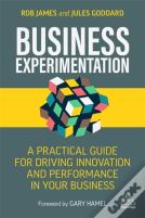 Business Experimentation