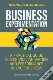Capa do artigo Business Experimentation
