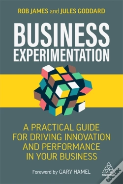 Capa do artigo Business Experimentation