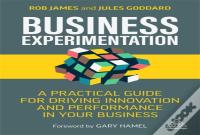 Business Experimentation