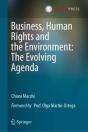 Business, Human Rights And The Environment: The Evolving Agenda - Preview