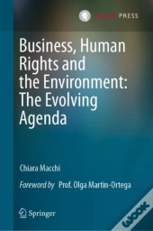 Business, Human Rights And The Environment: The Evolving Agenda