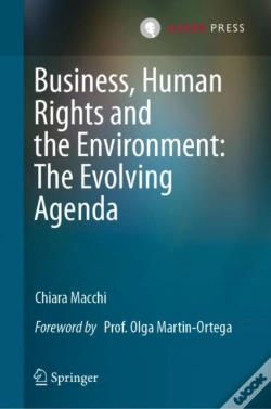 Capa do artigo Business, Human Rights And The Environment: The Evolving Agenda