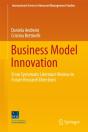 Business Model Innovation - Preview