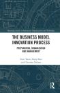 Business Model Innovation Process - Preview