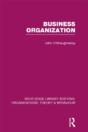 Business Organization (Rle: Organizations) - Preview