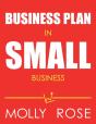 Business Plan In Small Business - Preview