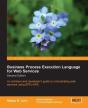 Business Process Execution Language For Web Services 2nd Edition - Preview