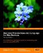 Business Process Execution Language For Web Services - Preview