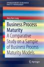 Business Process Maturity - Preview